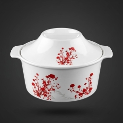 10'' modern cover bowl with lid-ass